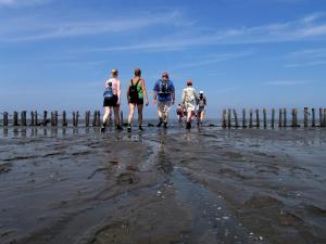 hotel waddengenot