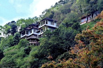 blackberry hills munnar nature resort and spa