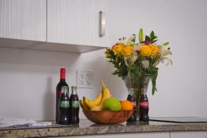 regency inn and suites