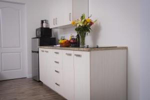 regency inn and suites