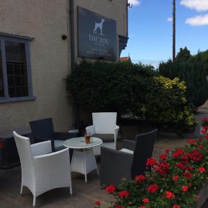 the dog at wingham