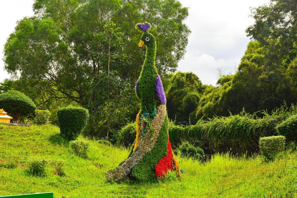 dara express by angkor green gardens