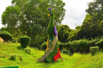 dara express by angkor green gardens