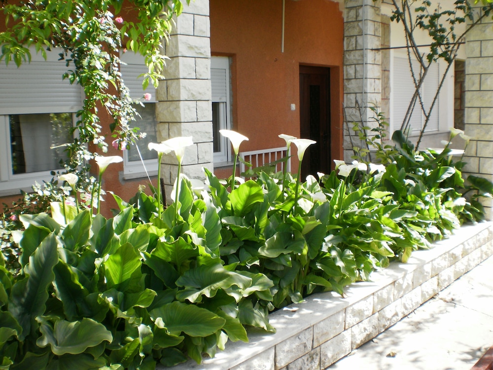 apartmani marija