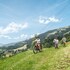 das hopfgarten familotel tirol