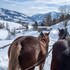 das hopfgarten familotel tirol