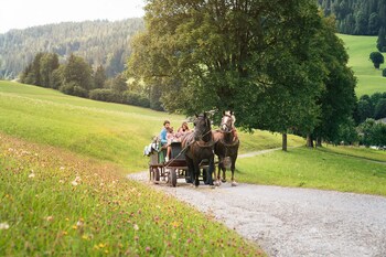 hopfgarten im brixental