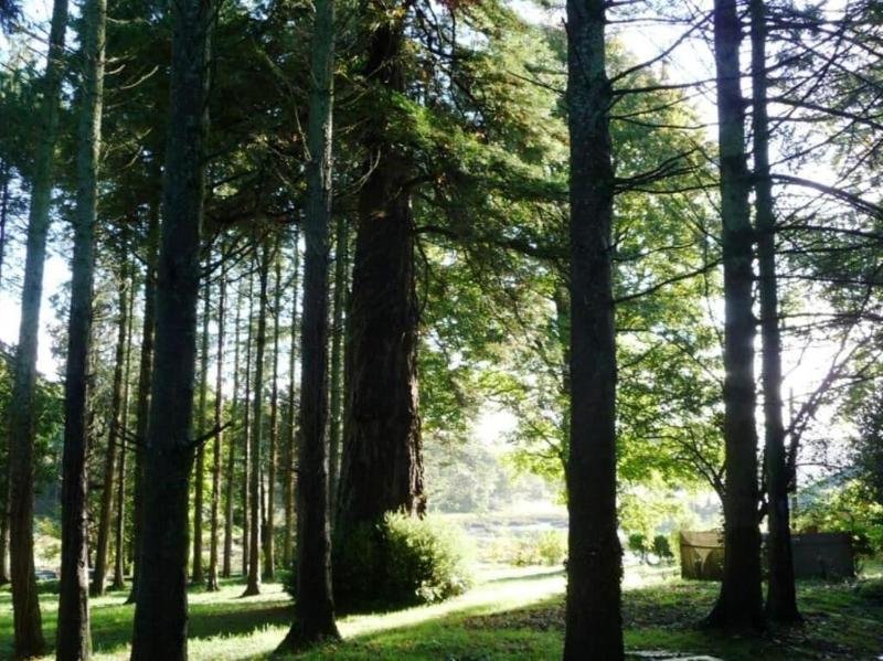 Slebech Park Restaurant & Rooms,Haverfordwest>>Dyfed,5 star