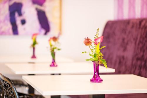 holiday inn express arnhem by ihg