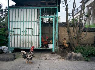 elephant garden bandb