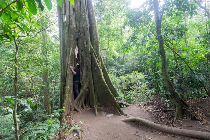 elida lodge monteverde