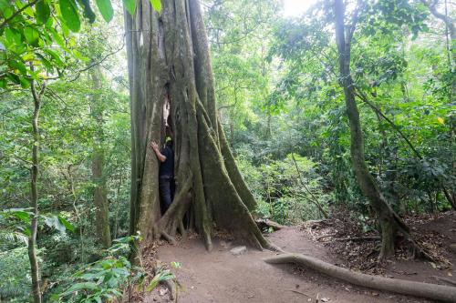 elida lodge monteverde