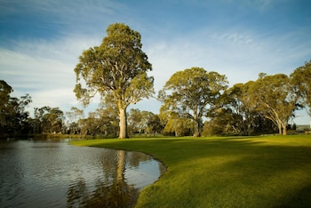 mclaren vale