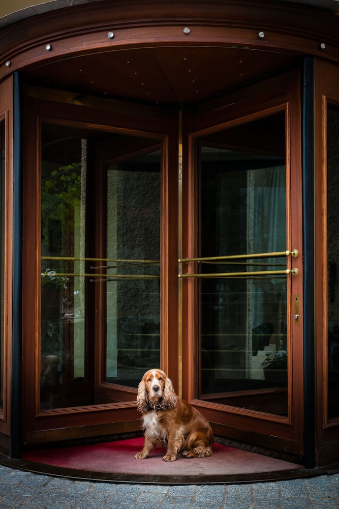 hotel regina wengen