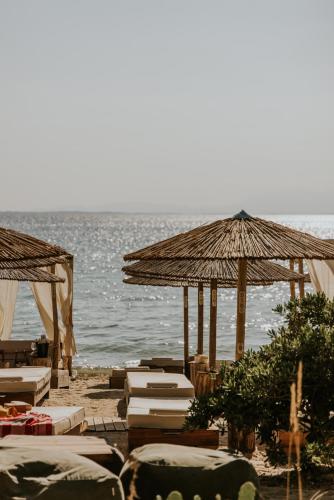 sithonia