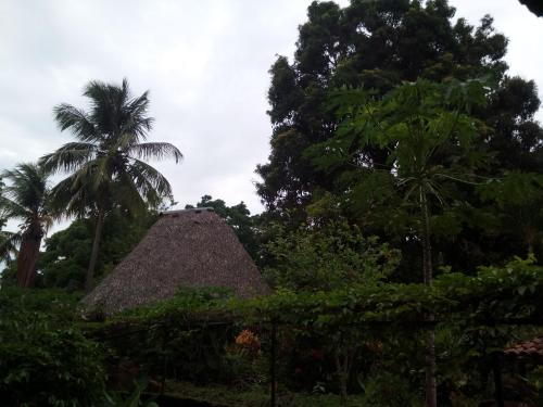 altagracia