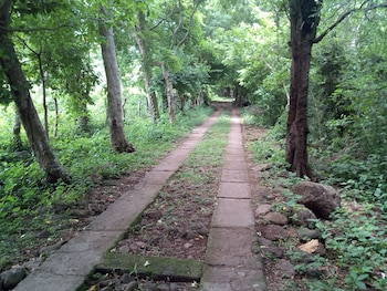 altagracia