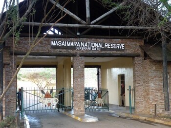 sekenani camp maasai mara