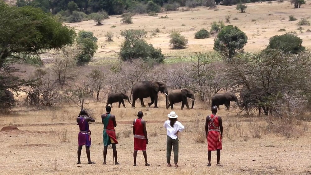 sekenani camp maasai mara