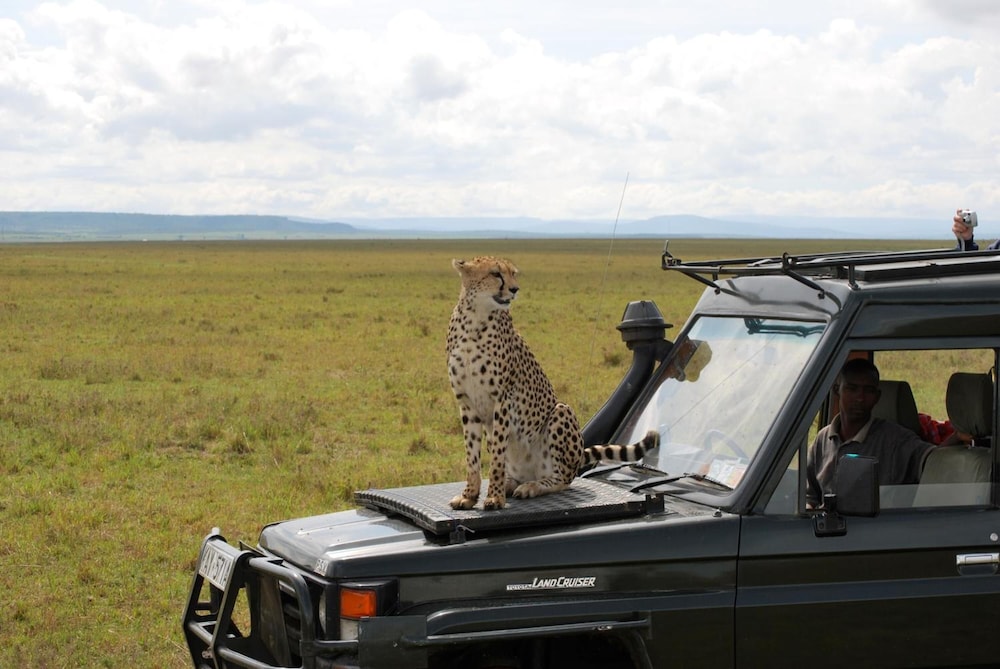 sekenani camp maasai mara