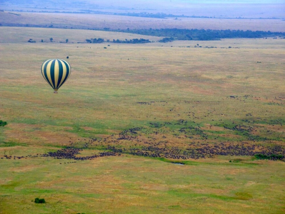 sekenani camp maasai mara