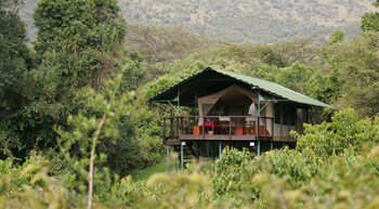 maasai mara