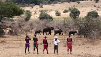 sekenani camp maasai mara