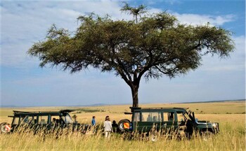 sekenani camp maasai mara