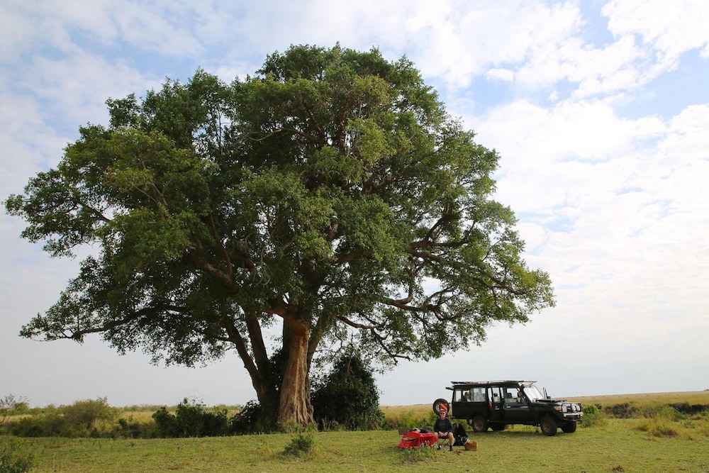 sekenani camp maasai mara