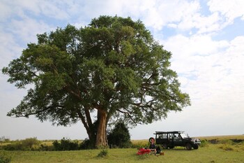 sekenani camp maasai mara