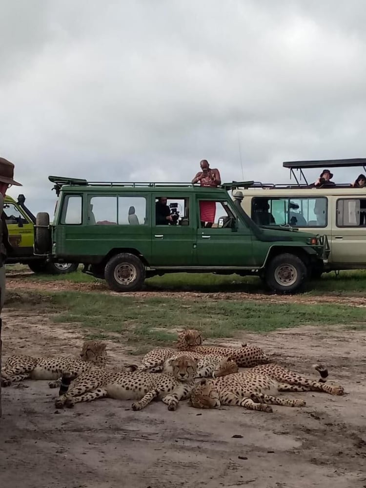 sekenani camp maasai mara