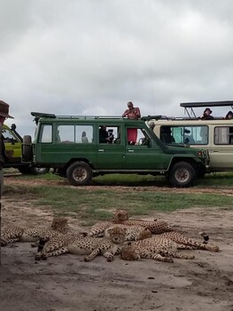 sekenani camp maasai mara