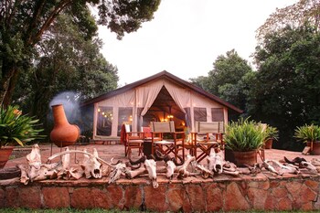 sekenani camp maasai mara