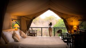 maasai mara