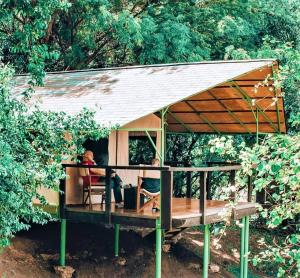 maasai mara