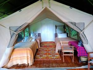 maasai mara