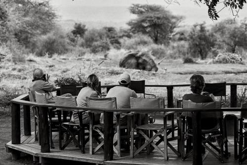 amboseli