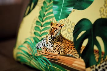 saalbach hinterglemm