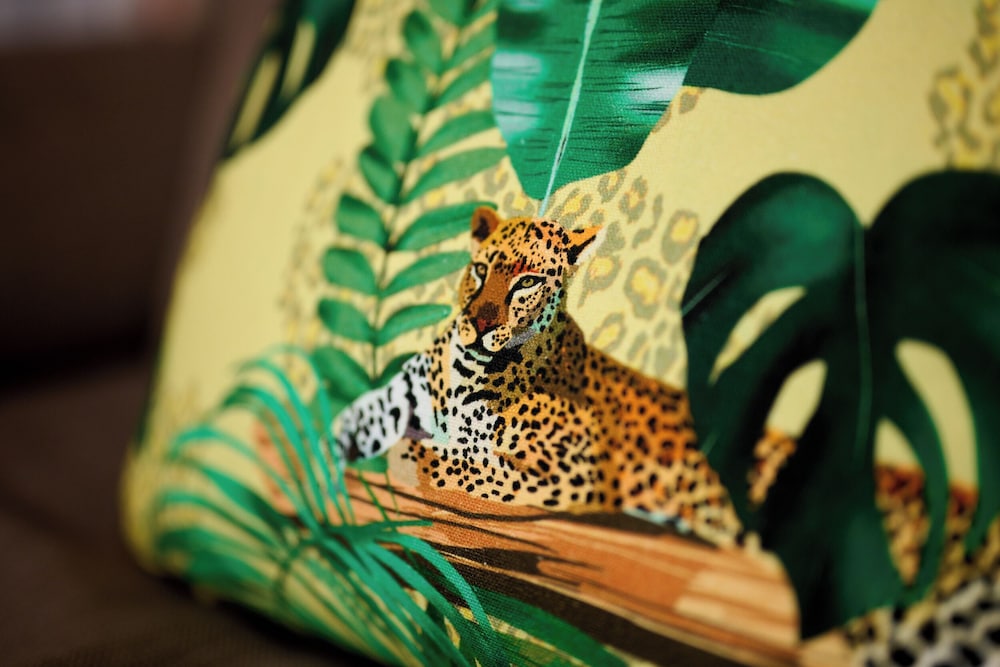 saalbach hinterglemm