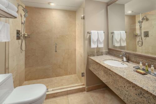 doubletree by hilton grand hotel biscayne bay