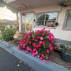 morganhill inn motel