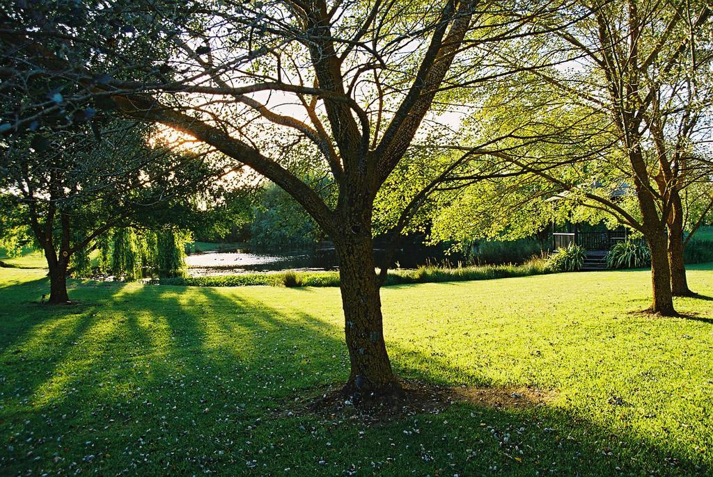 briars country lodge