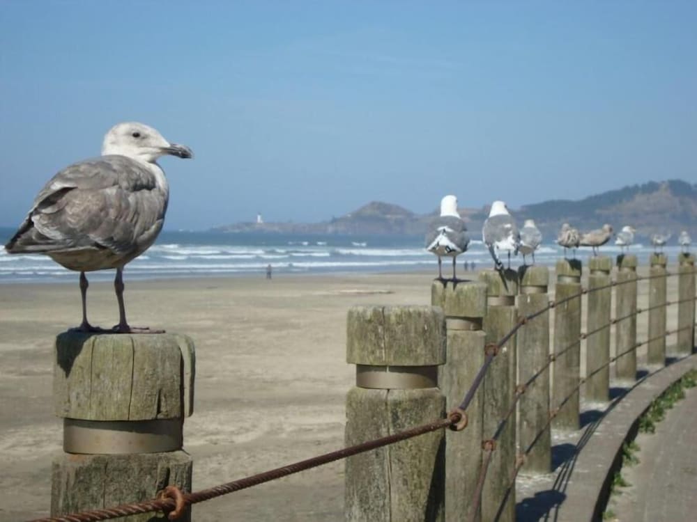 summer wind budget motel