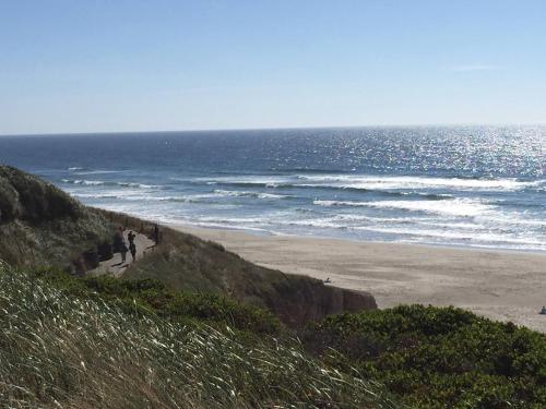 summer wind budget motel