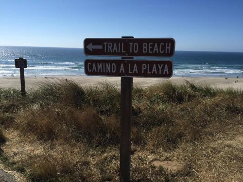 summer wind budget motel