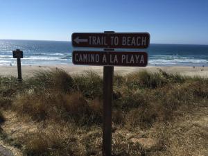 summer wind budget motel