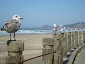 summer wind budget motel