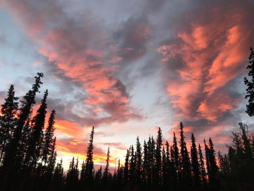A Hyde Away Inn B&B,Tok>>Southeast Fairbanks,3 star