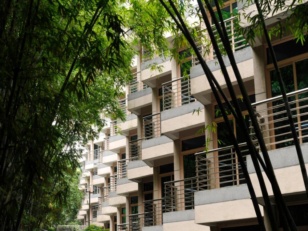 zte hotel da mei sha