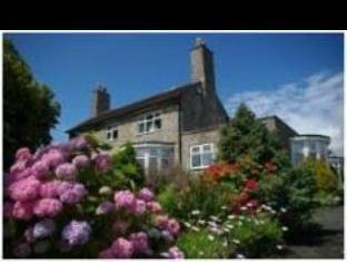 the down inn